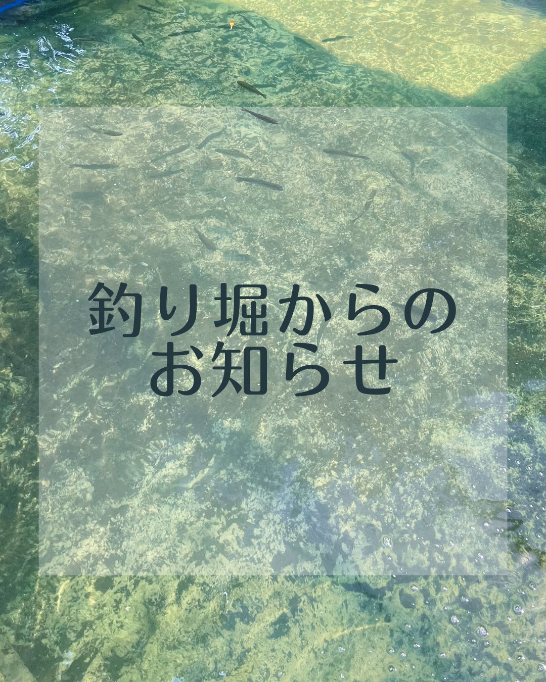 【お知らせ】釣り堀夏季営業につきまして